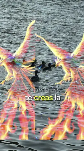 Qué gran verdad, en la vida, muchas veces nos enfocamos en presumir y nos olvidamos de vivir, se nos olvida que en este mundo somos pasajeros, disfruten la vida porque muchos ni siquiera llegan a vivirla plenamente#sarabonilla503 #loveyou #forever 