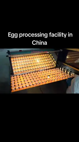 We need such automated large scale egg processing industries in our country. It's high time we got more value for our eggs #egg #eggs #eggchallenge #poultry #factory #agriculture #farmlife #poultryfarming 