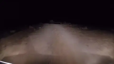 #سجه #الارانب#مقناص #مقناص #سجه_البر #اكسبلور #متابعه 