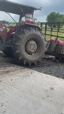 Rị em cái anh @Phuong Nguyen 😆😆😆#maycaycuchi🚜🚜🚜 #xuhuongtiktok 