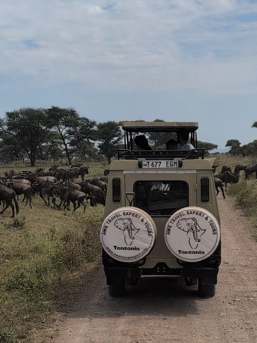 Wildlife game drive #holiday #africa #serengeti  #awetravel 