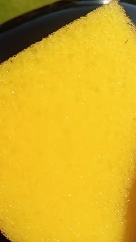 nytvättad #monkey #godby #foryoupage 