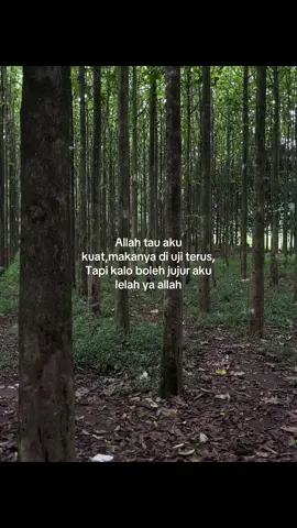 Bagian 252     #beranda #xybca #sadstory #fypシ゚ #pranotoagy 