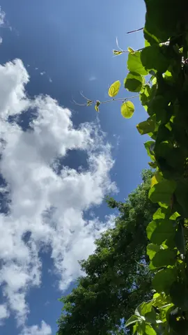 Coba spill foto langit yg ada di galeri hp kalian! #langit #sky #fotolangit #fyp #xcyzba 