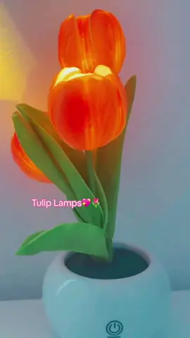 Tulip lamps