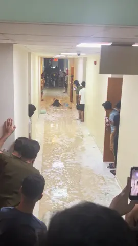 بەزمەکانی داخلی #داخلی_قلیاسان #بەزمەکانی_داخلی #زانکۆی_سلێمانی 