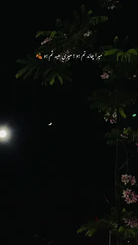 میرا چاند تُم ہو میری عید ٹم ہو 🫰🏻♥️ #foryoupage #foryou #fvrt #lines #nightvibes #foryoupageofficiall #nightvibes🎶🎵 #fypシ゚viral #fypage #foryoupage❤️❤️ #fypシ #fyp #fyppppppppppppppppppppppp 