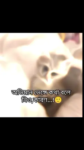 অভিমান ভেঙ্গে কথা বলে নিও....!!😅💔👍🏻#fypシ゚ #virall #foryou #trinding #foryoutrick #foryoupage #Bangladesh🇧🇩 #fyyyyyyyyyyyyyyyy #fppppppppppppppppppp @TikTok @TikTok Bangladesh 