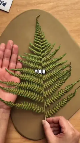 #reddit #askreddit #redditstories #redditreadings #fyp 