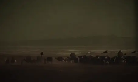 •الثامن من شهر ذي الحجة سنة(60 هـ)خروج الامام الحسين وأهل بيته الأطهار (عليهم السلام) من مكه إلى الكوفه. #الرادود_محمد_باقر_الخاقاني #كربلاء_المقدسة #واقعه_الطف #عاشوراء #قافله_النور #الامام_الحسين_عليه_السلام #الإمام_العباس_عليه_السلام #اهل_البيت_عليهم_سلام 