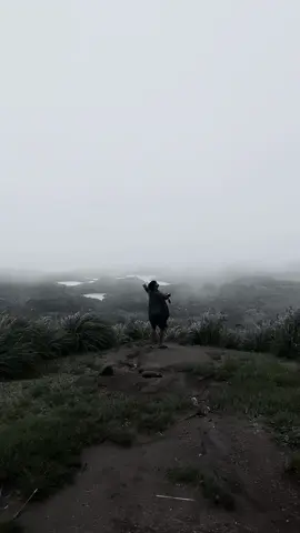 Let your soul rest in nature 🍃🤍🥺 #traveling #traveltiktok #travelvideo #welcomehome #billieeilish #traveler #foru #foruyou #virl #fyp #worldwide #visitsrilanka #ohiya 