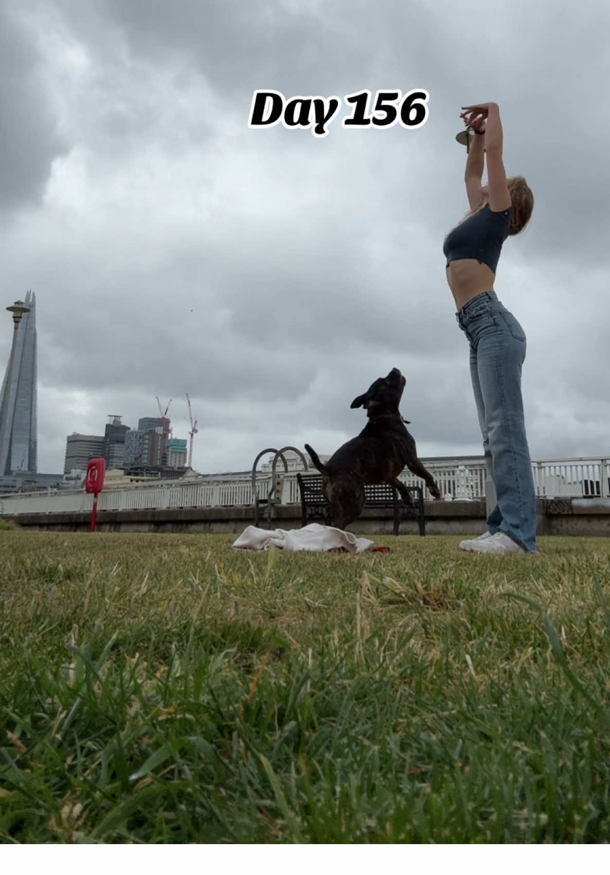 Day 156: 🧘‍♀️  5th June  Finding my flow and my thoughts in the park today with my doggo. ✨ It's funny how often life comes down to just making a choice and trusting the process. You set a goal, aim for it, and then adapt as things unfold. There's beauty in the journey, even the twists and turns. Ever feel like life's just about making a decision, taking the leap, and figuring it out as you go? I'm learning to embrace the unfolding, adjusting course, and sometimes, just aiming for something and seeing where it leads. #yogawithdog #parkyoga #contemplatinglife #lifejourney #makingdecisions #trusttheprocess #dogsofinstagram #mindfulness #goalsetting #embracethejourney #findyourflow 