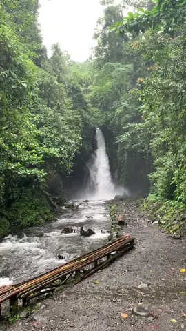 derasnya air lebih tenang dri pda berisiknya manusia. #fyp #airterjun #telunjukraungbanyuwangi #bwi24jam #foryoupage 