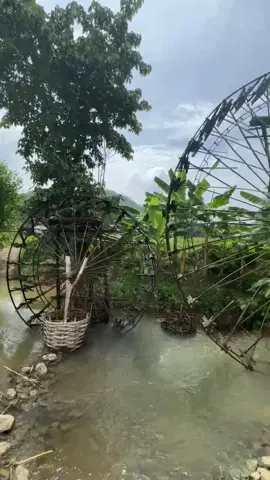 Guồng nước suối Chàm, hay còn gọi là bánh xe nước, là một trong những điểm đến nổi bật của Pù Luông. Nó được người dân tộc Mường và Thái xây dựng để tận dụng dòng nước chảy của suối Chàm để tưới tiêu, đồng thời là một biểu tượng văn hóa độc đáo của vùng… Việt Nam quê hương ta đẹp lắm✍🏽😍🇻🇳#puluong #dantocvietnam #vietnam #xuhuong #he2025 