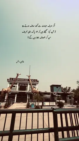 Deep💯🥲✅#fyb #foryou #urdupoetry #hadii_a0 #tiktok 
