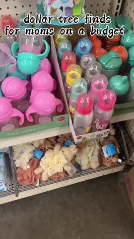 seriously check your local dollar tree!!! #MomsofTikTok #thecullitonfamily 