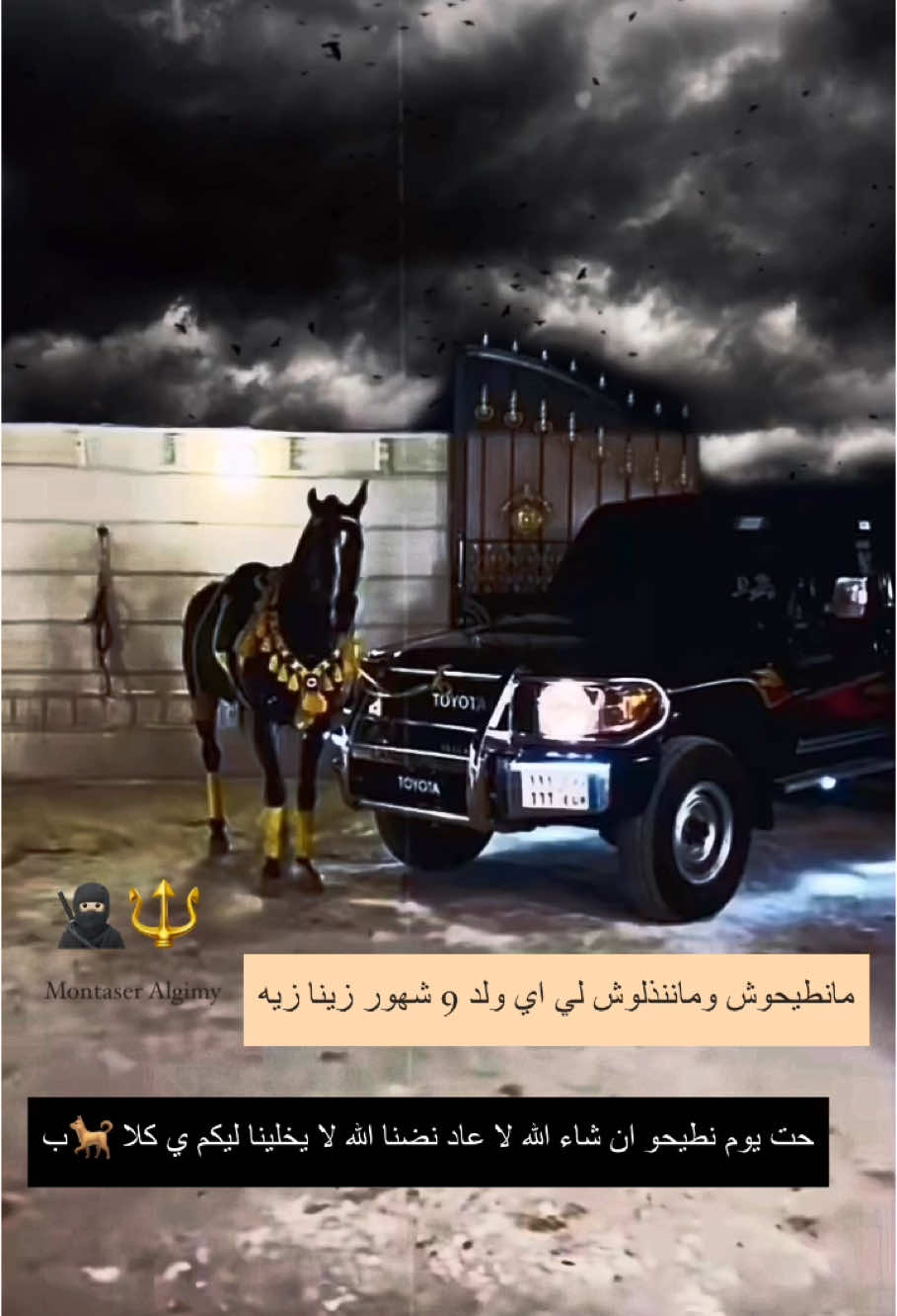 مانطيحوش وماننذلوش ومنقعدو لي اي ولد 9 شهور زينا زيه حت طحنا ان شاء الله لا عاد نضنا الله لا يخلينا ليكم ي كلا #الزاويه_العنقاء_ليبيا🇱🇾 #عبارات #تصميم_فيديوهات🎶🎤🎬 #شاص #خيل_وخياله🐎 #VoiceEffects #fyp 