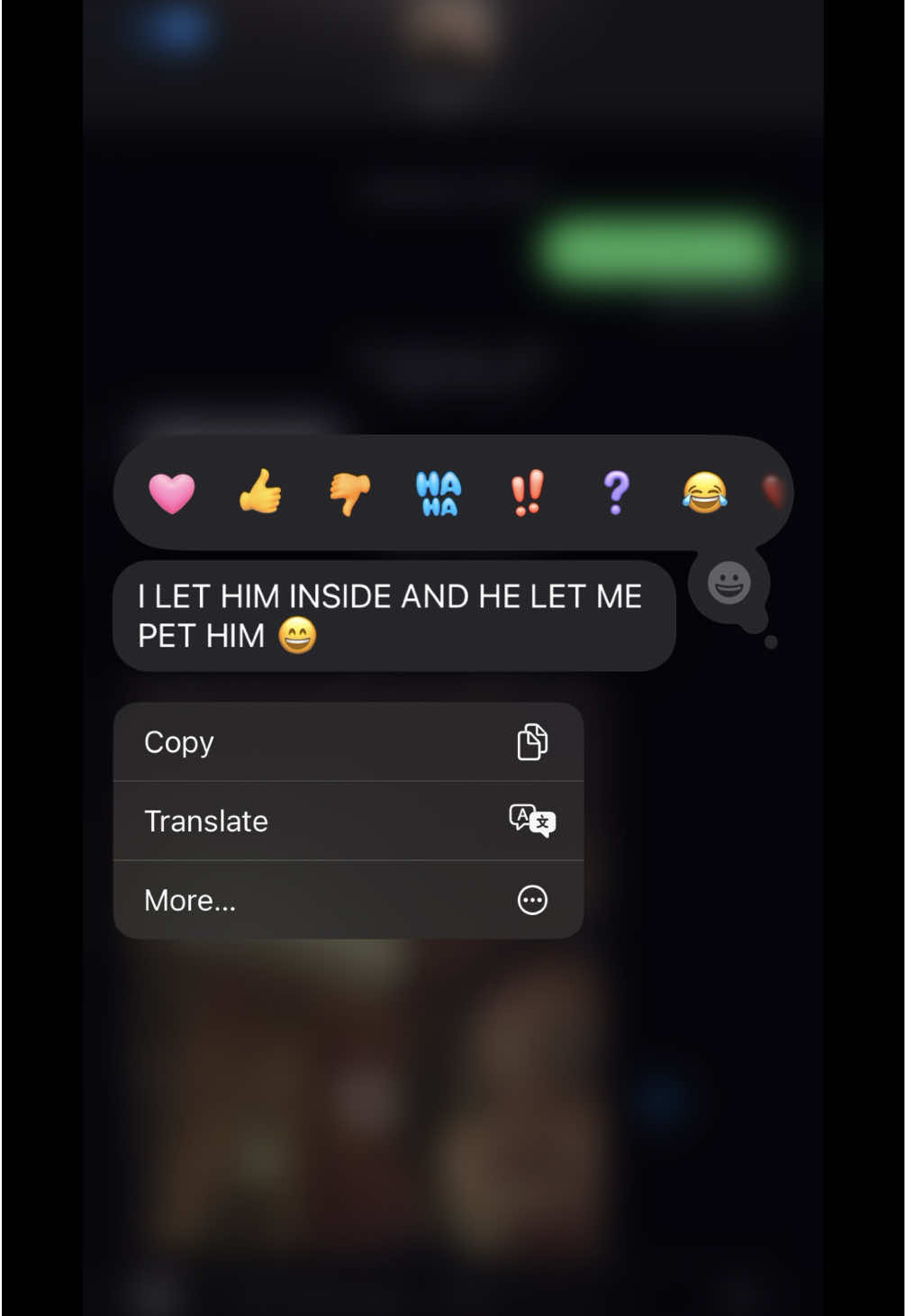 #cattok #kitty #catlove #catsoftiktok #meancat #lovercat #familycat 