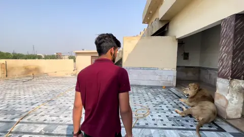 https://youtube.com/@malikdera_vlogs?si=KjSNYR02QYePT3MU