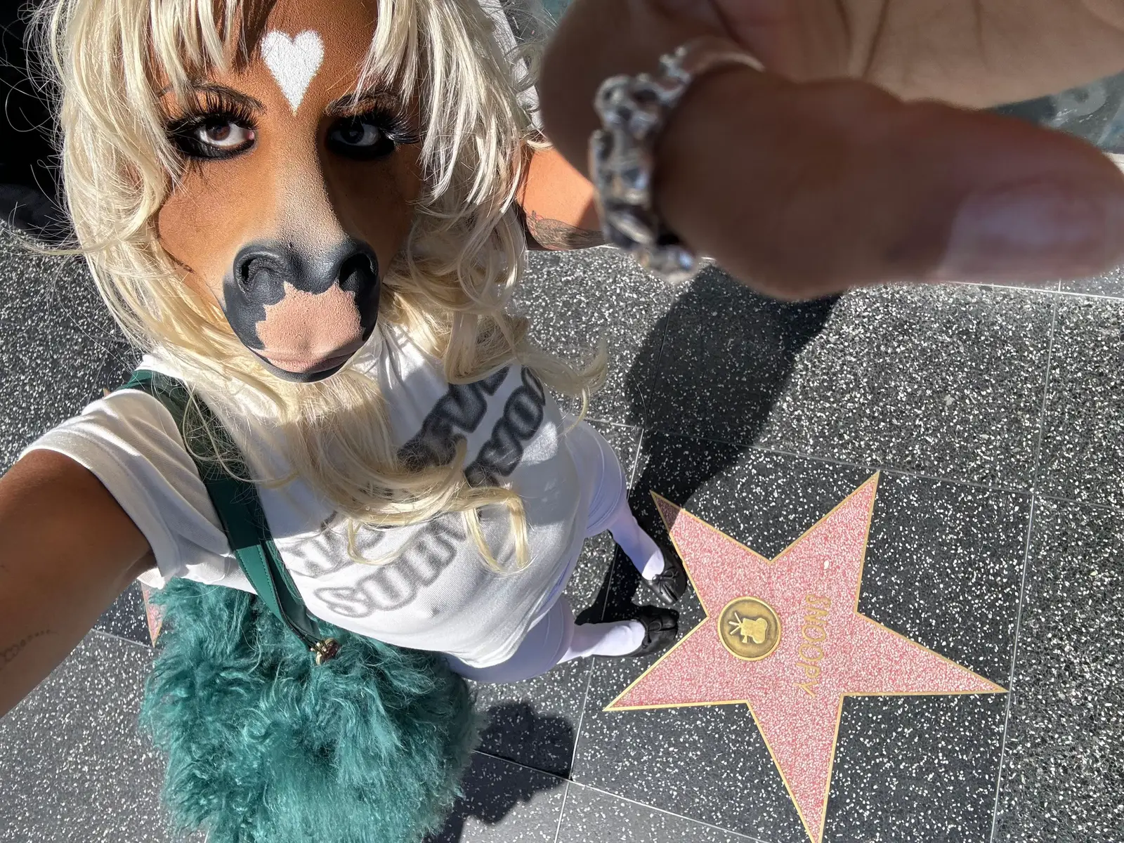 The Hollywood Walk of Fame… honouring the greats, all the animal legends who’ve come before me. You pawed the way. Thank you! 🐾✭♡ॢ₍⸍⸌̣ʷ̣̫⸍̣⸌₎ I want to play a show in your honour on the 4th of October, sign up starts now and the presale begins on the 12th of June. Yes human animals are allowed too but only the nice ones. I will see you there (∗ᵒ̶̶̷̀ω˂̶́∗)੭₎₎̊₊♡ #OnTour 