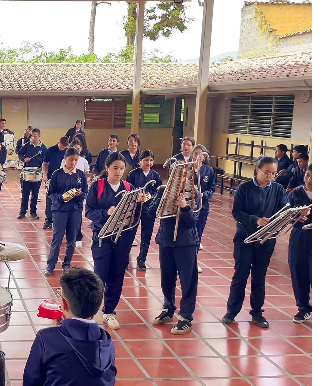 La vida es un carnaval 🎶🎺 #musica #bandas #percussió #toques #baile #danza #venezuela? 