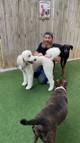 Double dating with Scoobs, Buddy, Ava, and Ruby!!!