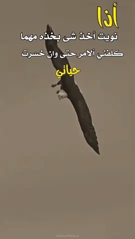 #عبارات #تحفيزي #اكسبلور #agstyle 