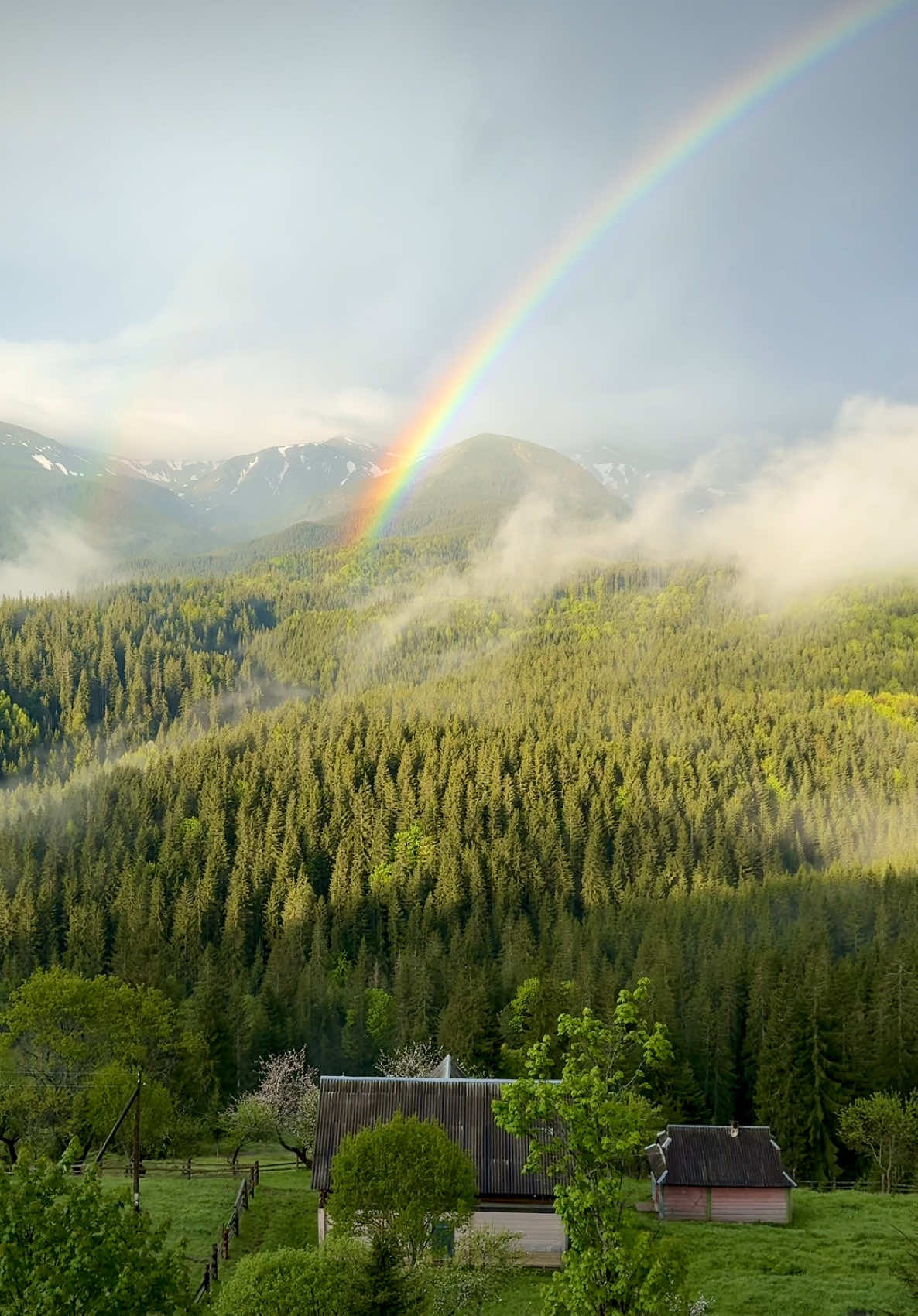 #толюб #подорожіукраїною #подорожі #travel #traveltiktok #mountain ##гори #україна #ukraine #rainbow #веселка #ліс #forest @villa_skarby 