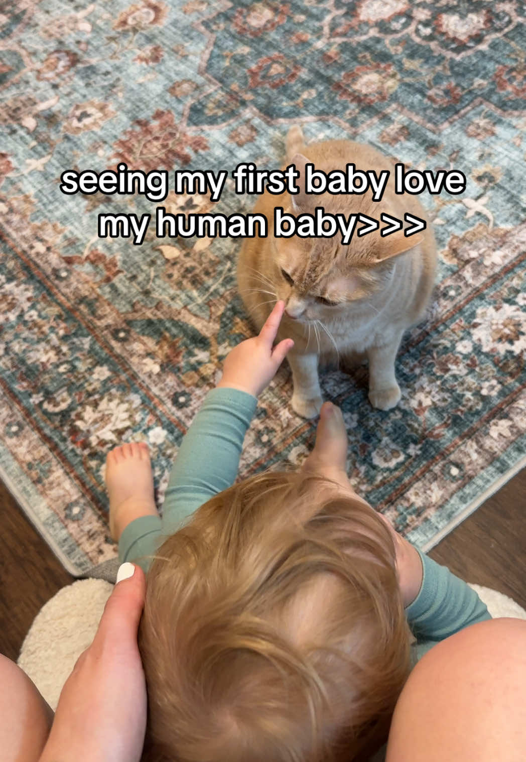 who knew the cat I got at 21 would be my son’s best friend 7 years later 😭 #mycatbobby #catandbaby 