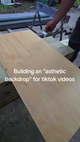 #fyp #asthetic #backdrop #DIY #diyproject 