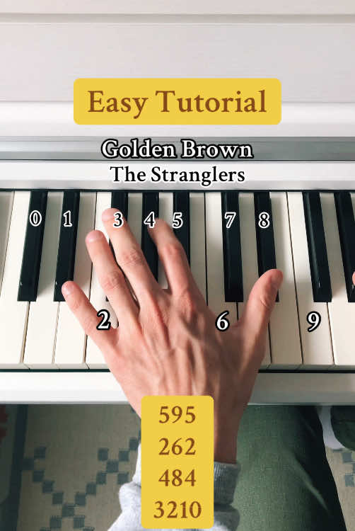 Golden brown, texture like sun… 🍂🌞🎶 #goldenbrown #thestranglers #piano #tutorial #musiciansoftiktok #pianotutorial #pianotok 