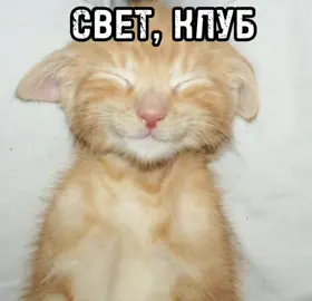 та самая реклама под которую все денсят:#лето#кракен#CapCut#