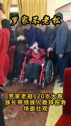 罗家不老松 罗家老祖120岁大寿族长带领族人跪拜祝寿场面壮观 #美好时刻 