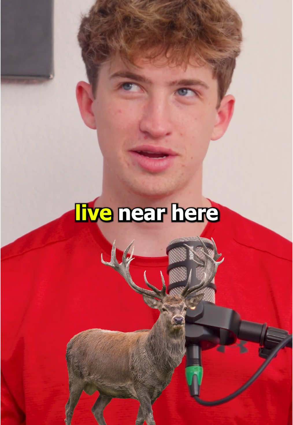 He’s Fluent In Elk? @Cash Baker @Maverick Baker @harperzilmer4 @Kate Baker @Kenzie Baker 