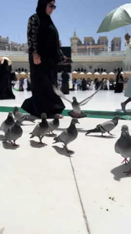 #كل_عام_وانتم_بخير#عيد_الاضحى #اكسبلورexplore #مكه #مكة_المكرمة #makkah #tiktok #fyp 