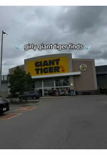 Come shopping with me at @GiantTigerStore #gianttiger #gianttigerfinds #gt #gianttigercanada #dollarspot #dollaramafinds #canadianfinds #canadiancouponer #torontolife