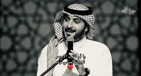 #ماجد_المهندس 