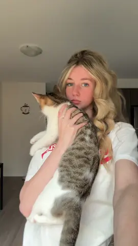 kitty