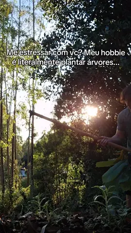fiquem com o time lapse                                                                                              . #arvore #plantar #natureza #paz 