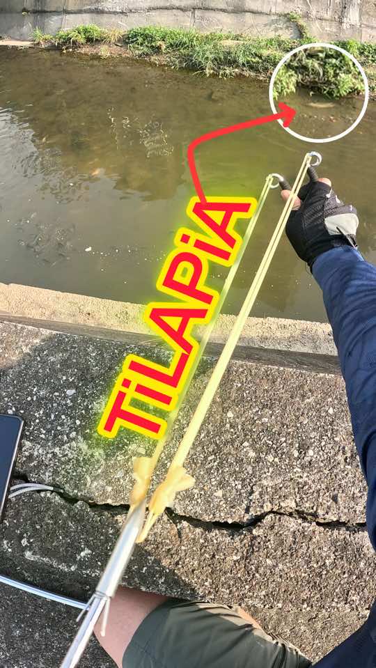 LONG RANGE TARGET‼️ SAPUL😱 #fishing #slingshot #HUNTER 