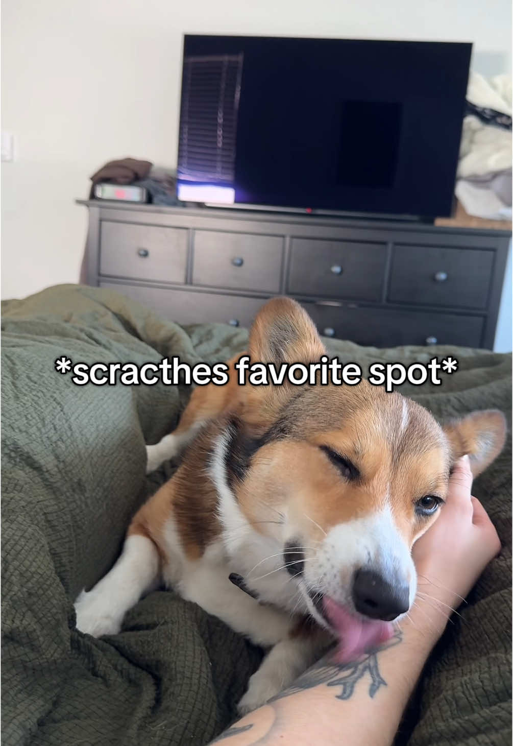 Don’t ever touch the forbidden paw !! So dramatic 🤣🤣 