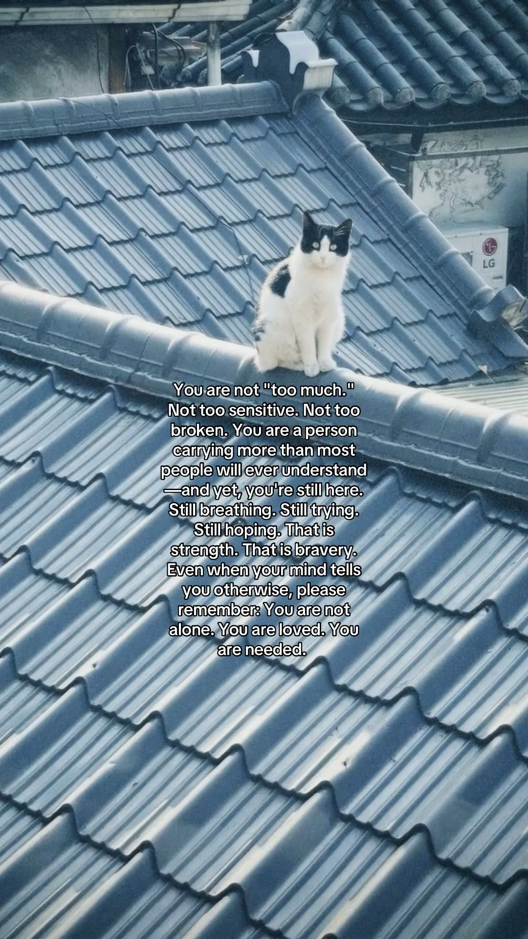 Message 1: You Are Not a Burden #unsaidthoughts #unsaidfeelings #reminder #youmatter #fyp 