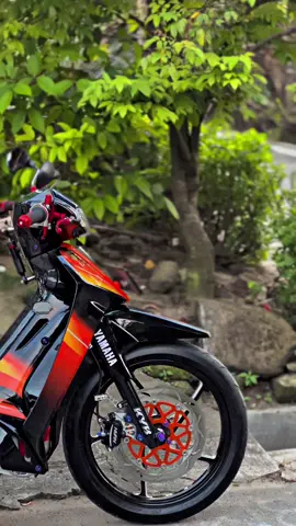 Jann ngenengke🥰 #twostroke #garagara2tak #fizrindonesia #orengank🧡 #modifikasi 