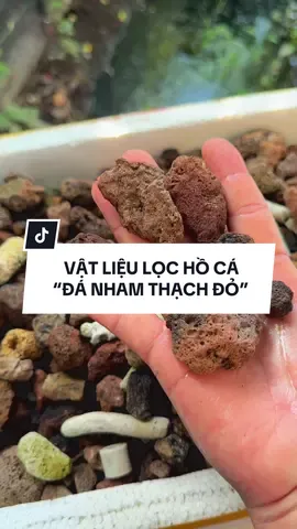 Đá nham thạch - Vật liệu lọc chất lượng cho anh em chăm cá lóc vẩy rồng nè  #hồcácảnh #setup #vậtliệulọchồcá #đánhamthạchđỏ 