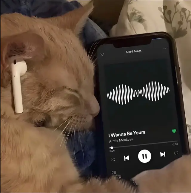 Chill buổi sáng 🗣🎧🎶#nhachaymoingay #xuhuong #music #dungmusic #lyrics_songs #dungspeedup #chill #nhacchill #nhacchillmoingay #🎧🎶 #xh #ontop