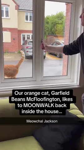 The car is reversing 🚗🚘 #Pubity #RoadTo18M  (@Beans_McFloofington via ViralHog)