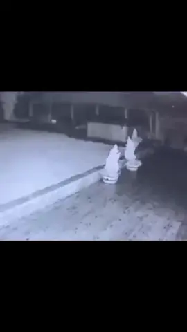 #psicopatas #hospitalesmalditos #tik_tok #terrorsobrenatural #fantasmaencasa #cuandoduermes #apariciones #todos #losniñosllorones #entesdelmasallá #poltergeist #panteonesycementerio #ecosdelmasalla #laouija #deepwebvideo #posesionesdemoníacas #psicofonias #fantasmasreales#viral_video 