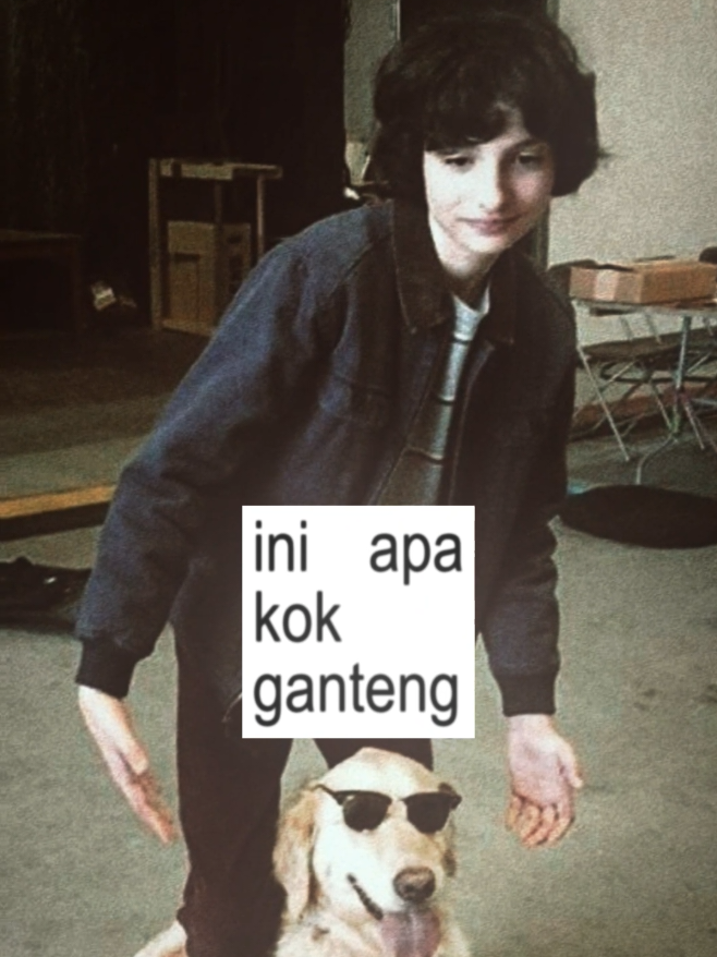 #finnwolfhard : selamat hari raya idul adha semua #finnwolfhardedit #strangerthings2 #mikewheeler #fyp #masukberandafyp #4u 