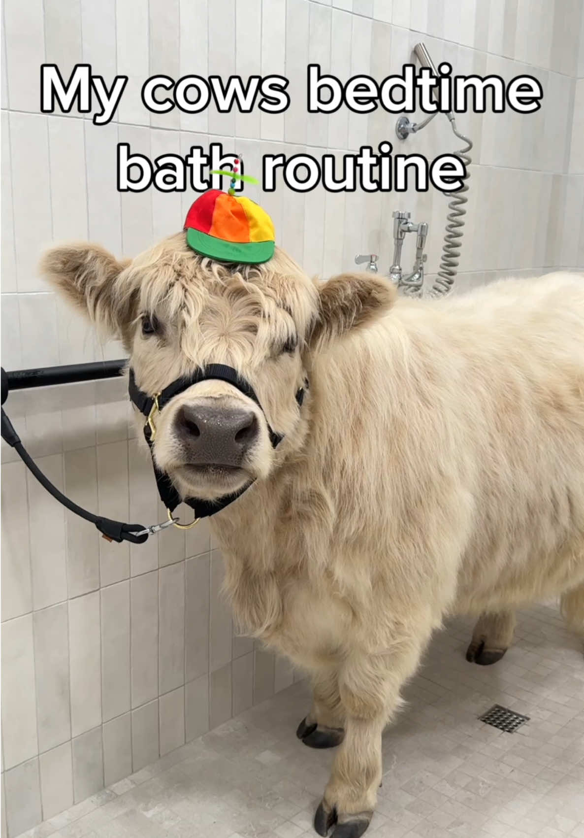 Nothing beats a relaxing bath & slipping into some rubber duck pj’s before bed 😴 #cow #bedtime #bath #routine 