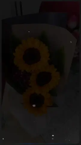 💛✨🌻   .   #CapCut #tik_tok #viral_video #fyp #girasoles 